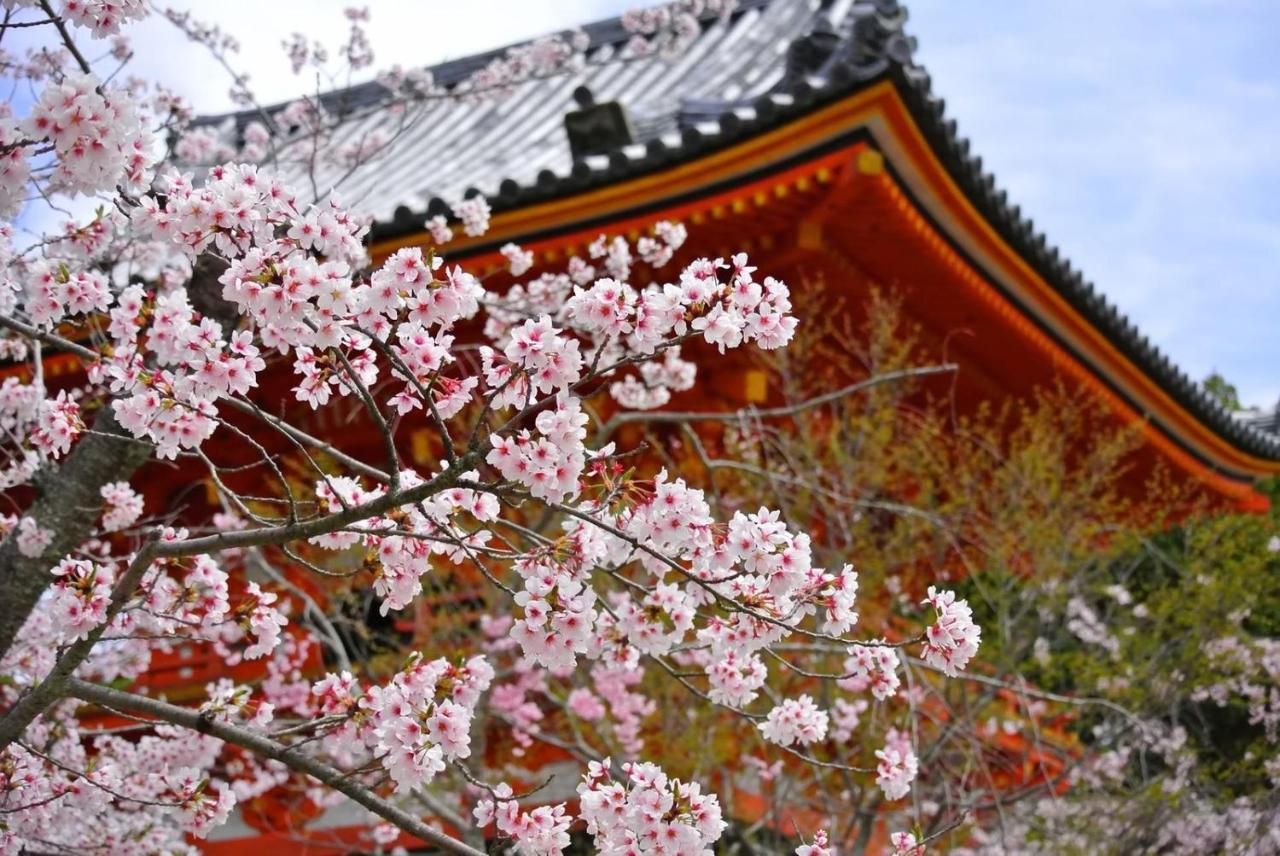 Stay Sakura Kyoto Fuga Extérieur photo